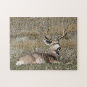 Muildierbok in vroege herfstgras legpuzzel