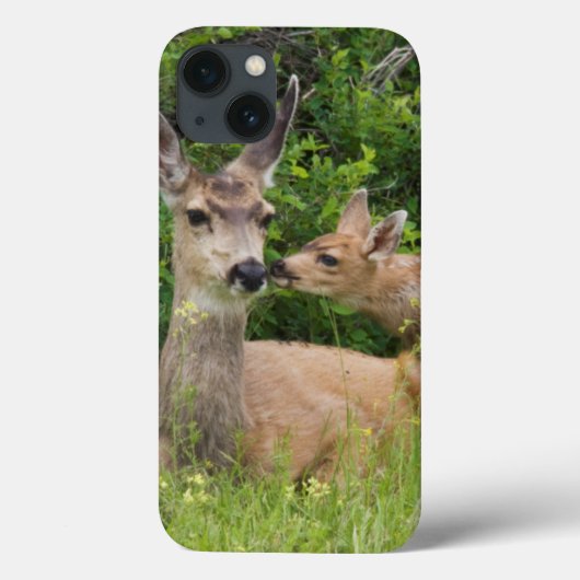 Muildierhinde met jong Case-Mate iPhone case (Achterkant)