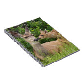 Muildierhinde met jong notitieboek (Rechterzijde)
