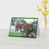 Muilezel dagen in kaart (Gele Bloem)