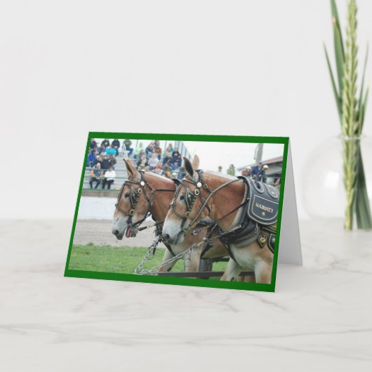 Muilezel dagen in kaart (Voorkant)