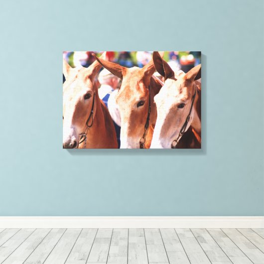 Muilezeldagen in Columbia TN Canvas Afdruk (Insitu (Houten vloer))