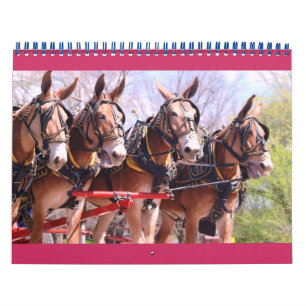 muilezels en ezels kalender