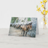 Muilezels in Griekenland Wenskaarten Kaart (Gele Bloem)