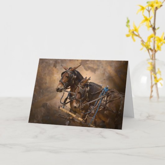 Muilezels in Uitrusting Kaart (Gele Bloem)