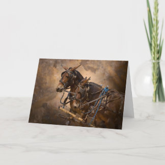 Muilezels in Uitrusting Kaart