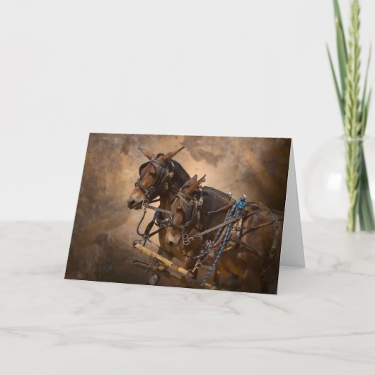 Muilezels in Uitrusting Kaart (Voorkant)