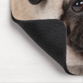 muilkorf muismat (Hoek)