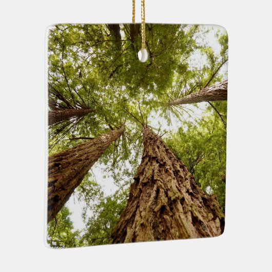 Muir Bos-versiering Keramisch Ornament (Rechts)