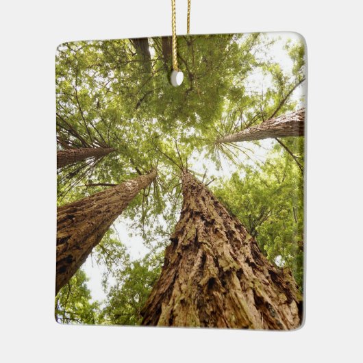 Muir Bos-versiering Keramisch Ornament (Links)