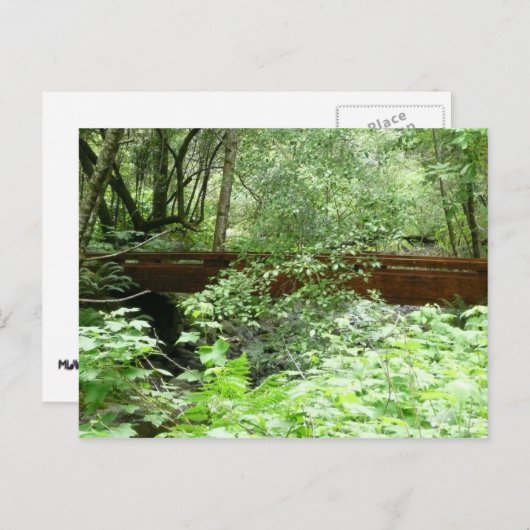 Muir Bossen Bridge I Briefkaart (Voorkant / Achterkant)