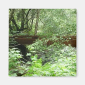 Muir Bossen Bridge I Magneet (Voorkant)