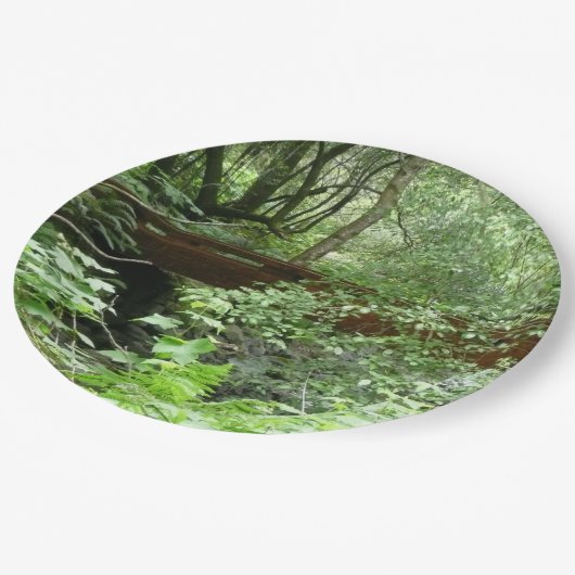 Muir Bossen Bridge I Papieren Bordje (Gekanteld)