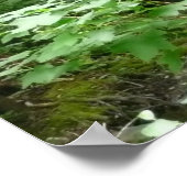 Muir Bossen Bridge I Poster (Hoek)