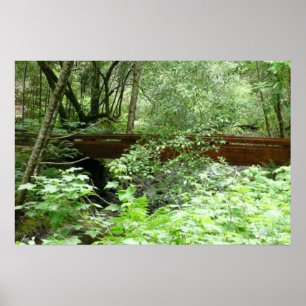 Muir Bossen Bridge I Poster