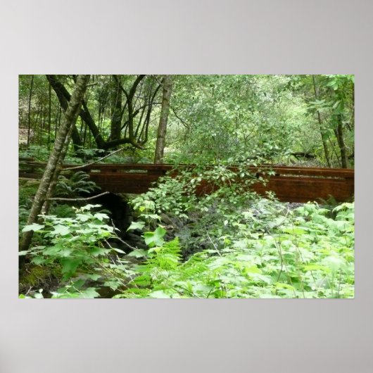 Muir Bossen Bridge I Poster (Voorkant)
