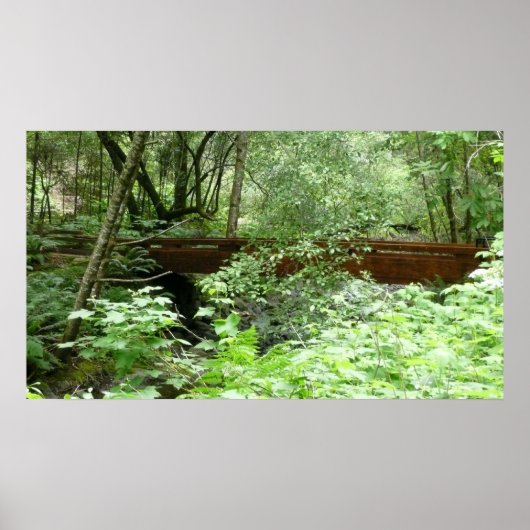 Muir Bossen Bridge I Poster (Voorkant)