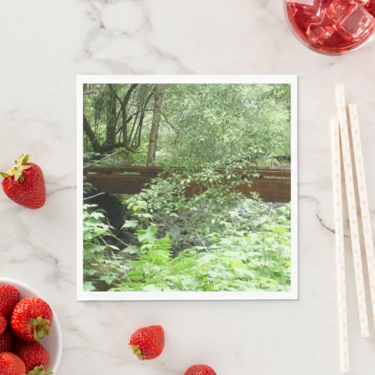 Muir Bossen Bridge I Servetten (Insitu)