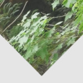 Muir Bossen Bridge I Tissuepapier (Detail)