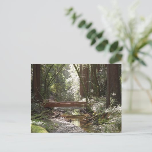 Muir Bossen Bridge II Briefkaart (Staand voorkant)