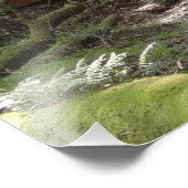 Muir Bossen Bridge II Foto Afdruk (Hoek)