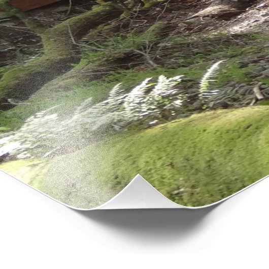 Muir Bossen Bridge II Foto Afdruk (Hoek)