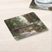 Muir Bossen Bridge II Kartonnen Onderzetters (Schuin)