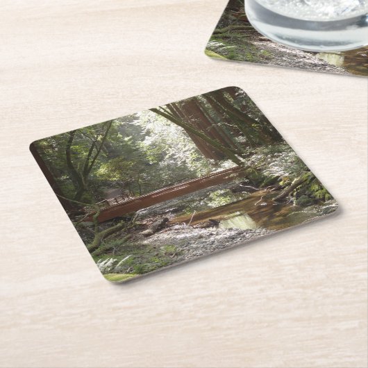 Muir Bossen Bridge II Kartonnen Onderzetters (Schuin)