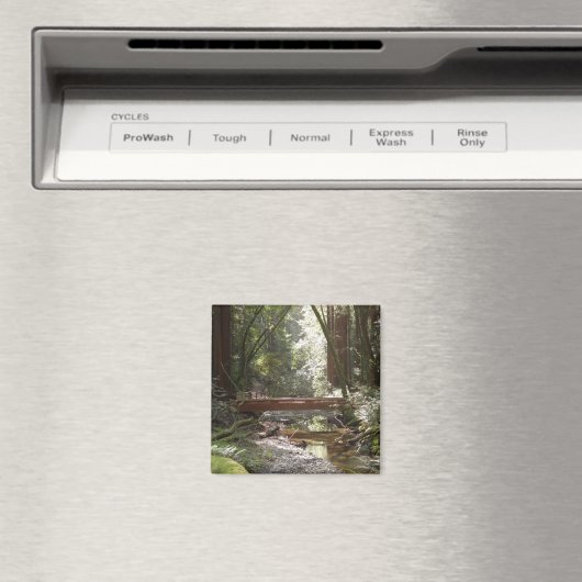 Muir Bossen Bridge II Magneet (Insitu (Vaatwasser))