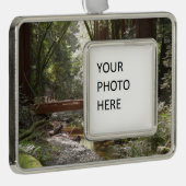 Muir Bossen Bridge II Verzilverd Omlijst Ornament (Rechts)
