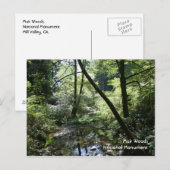 Muir Bossen, Briefkaart (Voorkant / Achterkant)