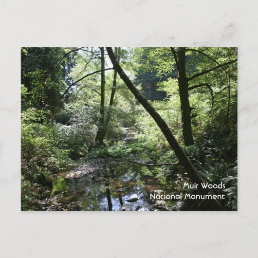 Muir Bossen, Briefkaart (Voorkant)