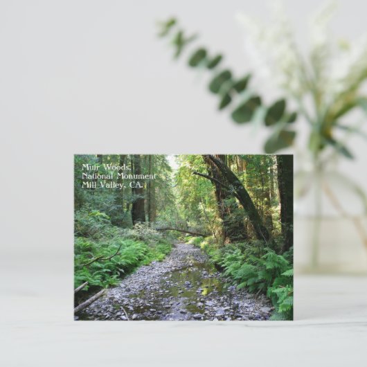 Muir Bossen Briefkaart (Staand voorkant)