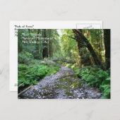 Muir Bossen Briefkaart (Voorkant / Achterkant)