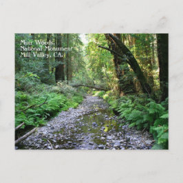 Muir Bossen Briefkaart