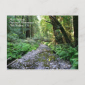 Muir Bossen Briefkaart (Voorkant)