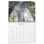 Muir Bossen Calendar Kalender (Mar 2026)