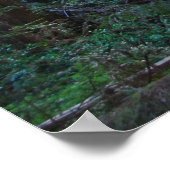 Muir Bossen California Poster (Hoek)