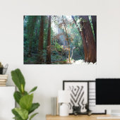 Muir Bossen California Poster (Thuiskantoor)