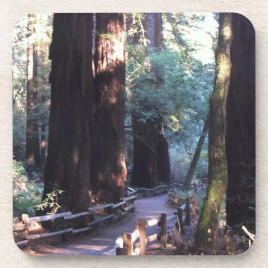 Muir Bossen Drankjes Onderzetter (Voorkant)