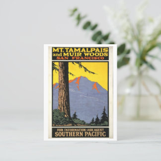 Muir Bossen en Mt Tamalpais Briefkaart