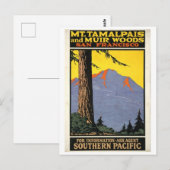 Muir Bossen en Mt Tamalpais Briefkaart (Voorkant / Achterkant)