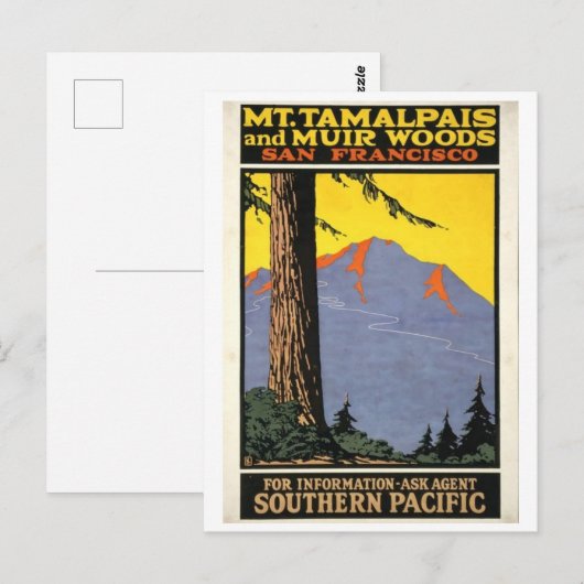 Muir Bossen en Mt Tamalpais Briefkaart (Voorkant / Achterkant)