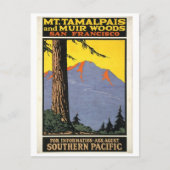 Muir Bossen en Mt Tamalpais Briefkaart (Voorkant)
