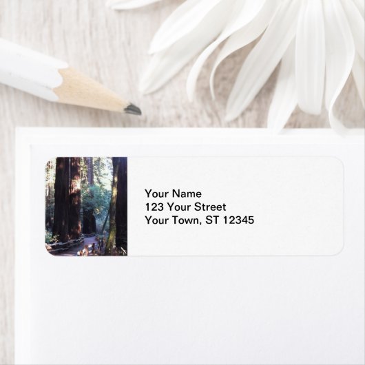 Muir Bossen Etiket (Insitu)