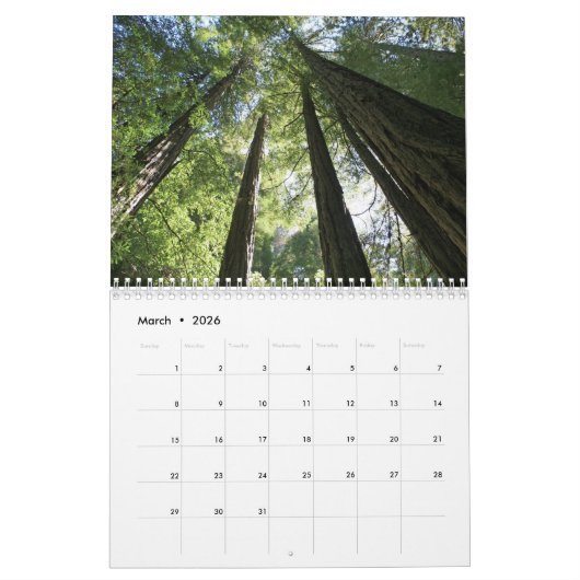 Muir Bossen Kalender (Mar 2026)