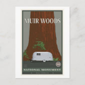 Muir Bossen Nationaal Monument 1 Briefkaart (Voorkant)