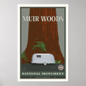 Muir Bossen Nationaal Monument 1 Poster (Voorkant)