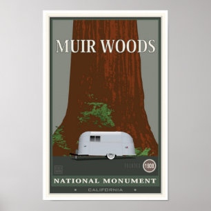 Muir Bossen Nationaal Monument 1 Poster