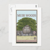 Muir Bossen Nationaal Monument 2 Briefkaart (Voorkant / Achterkant)